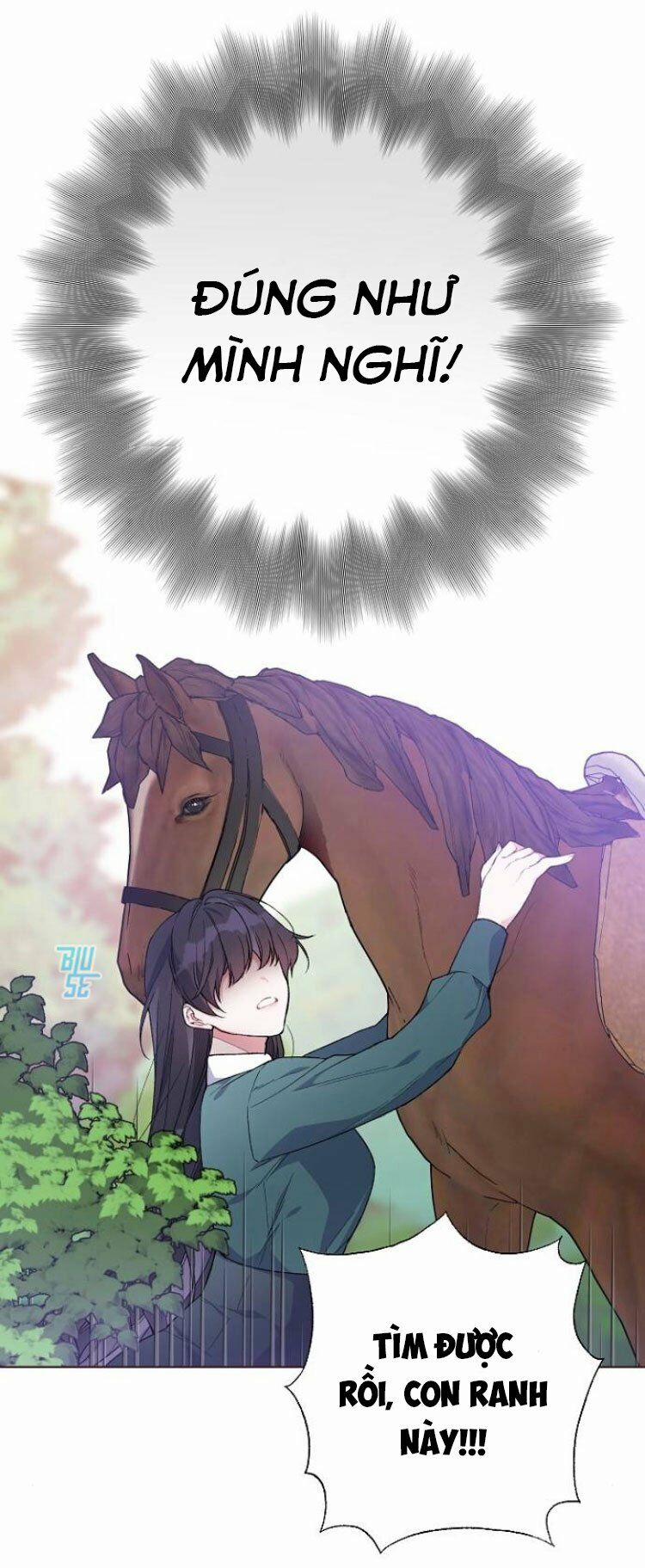 Cách Mà Kỵ Sĩ Sống Như Tiểu Thư 9 trang 17