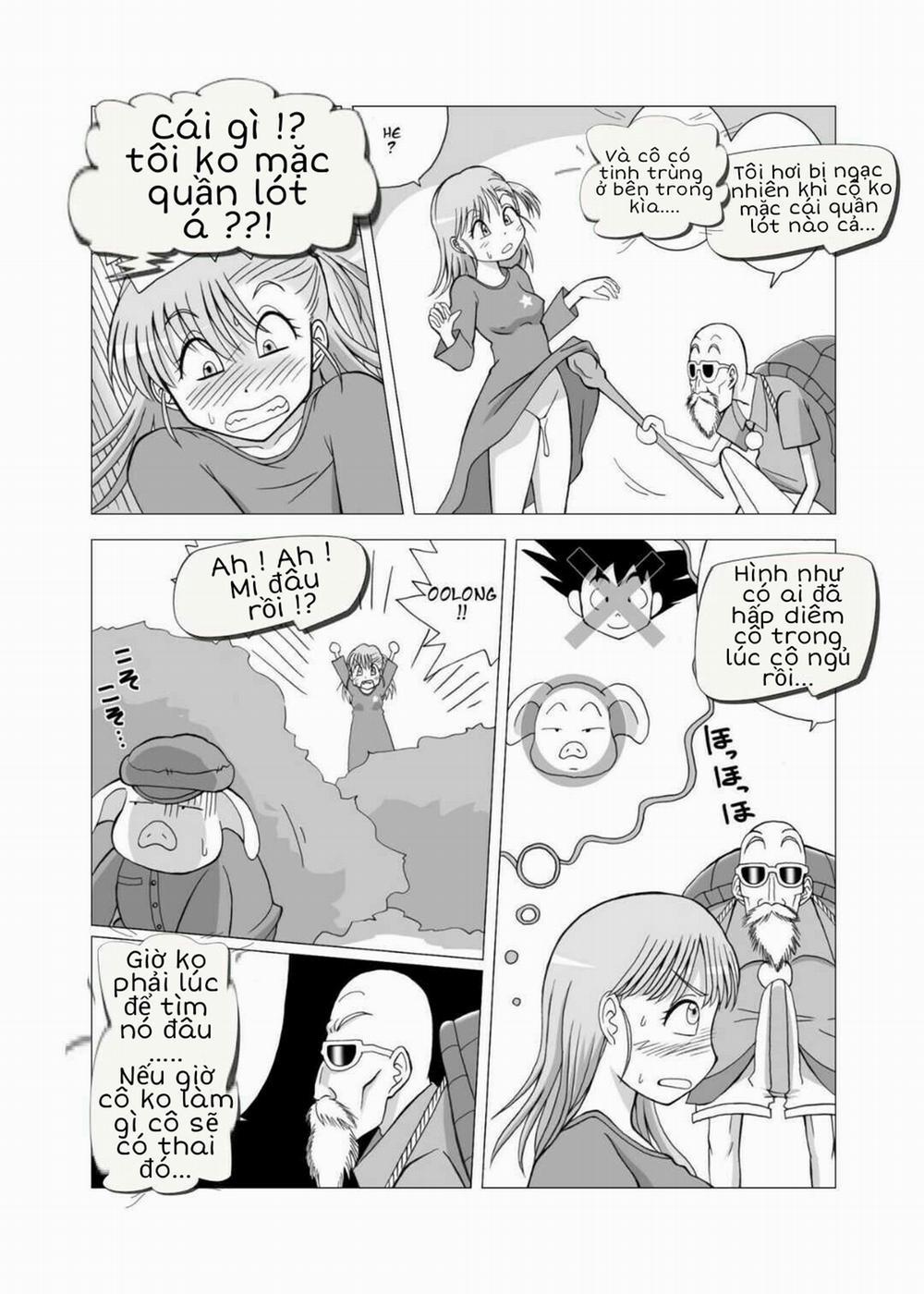 Cách tránh thai (Dragon Ball) Oneshot trang 13