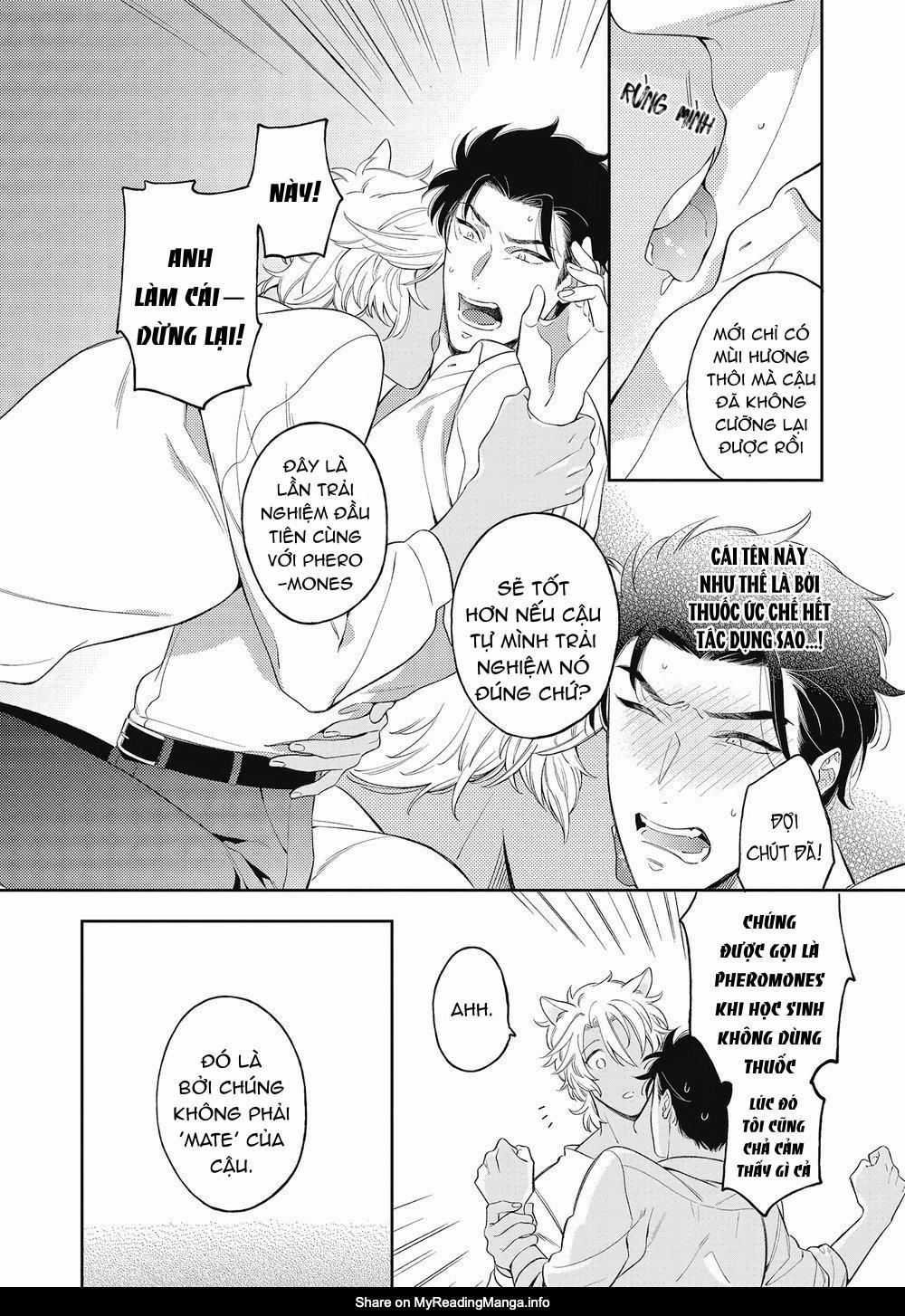 Cách yêu một nhân thú gắt gỏng 1 trang 37