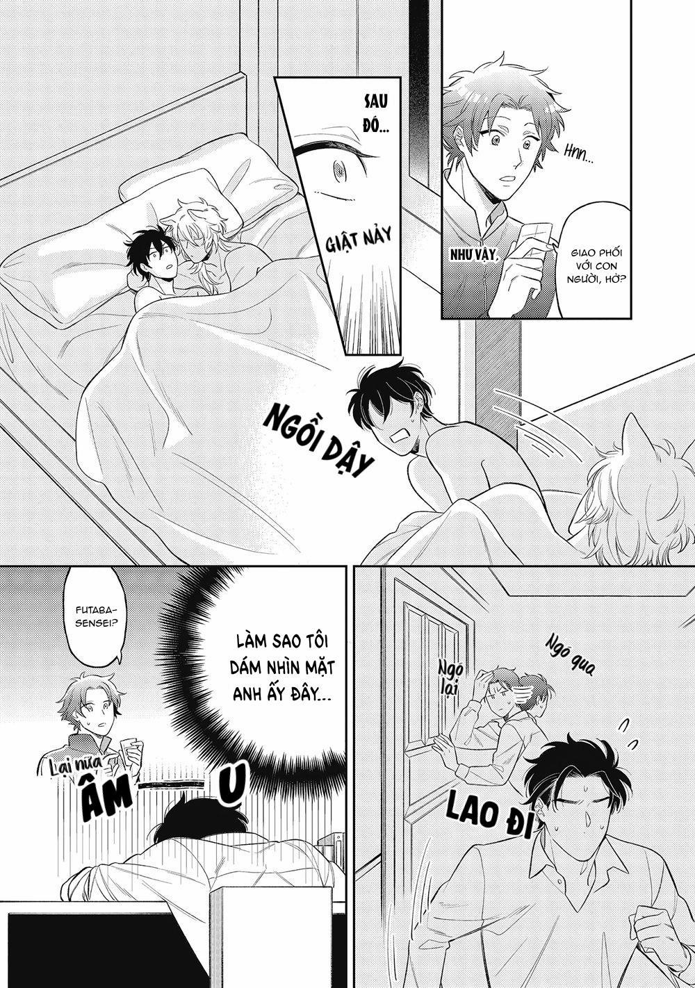 Cách yêu một nhân thú gắt gỏng 2 trang 10