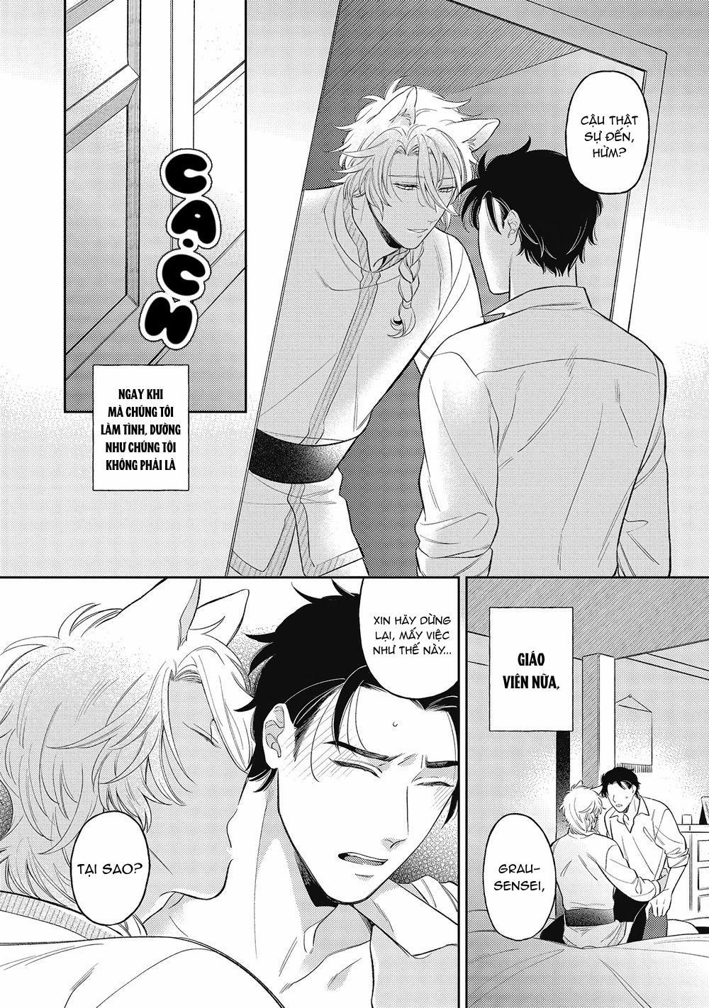 Cách yêu một nhân thú gắt gỏng 2 trang 19