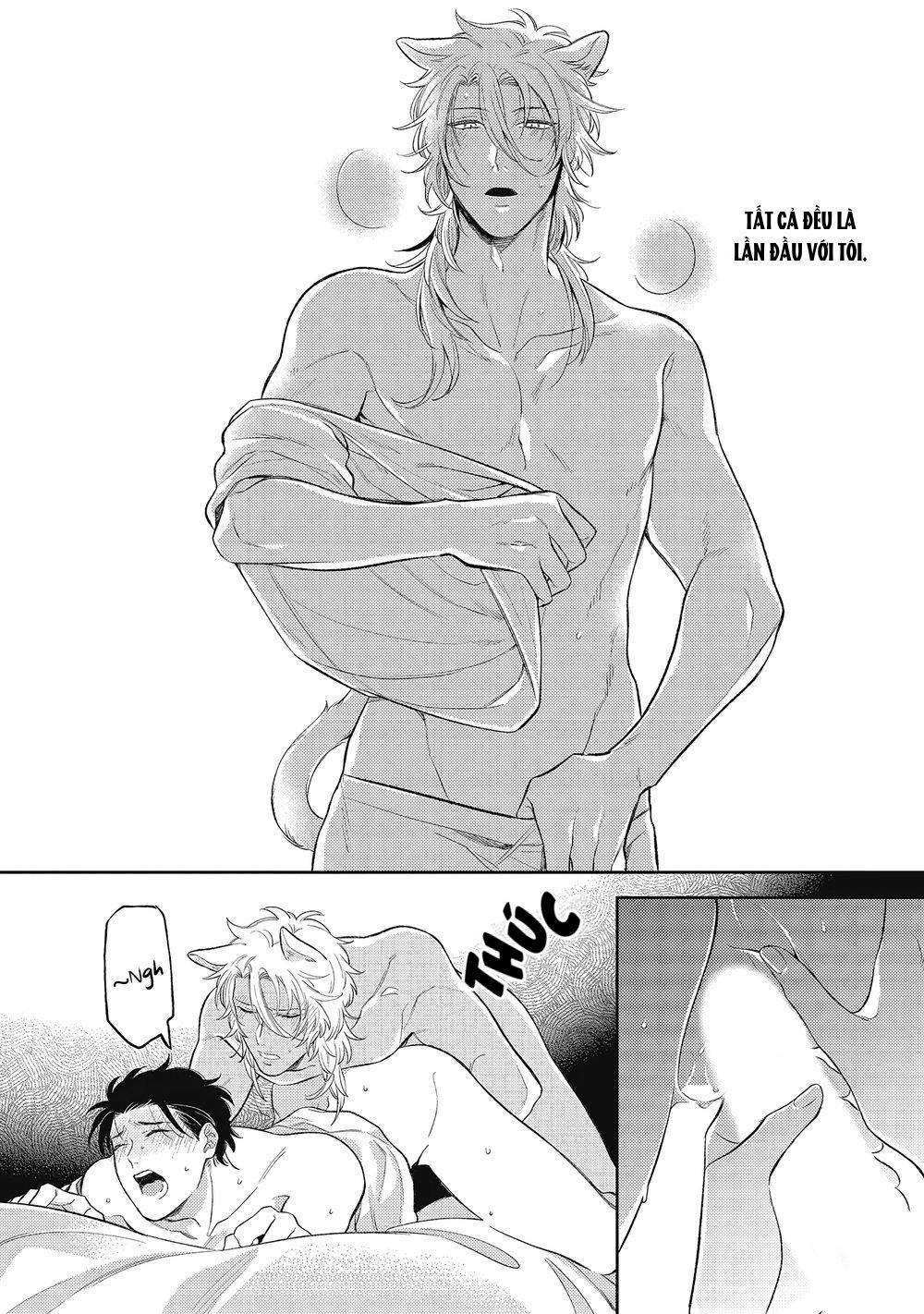 Cách yêu một nhân thú gắt gỏng 2 trang 8