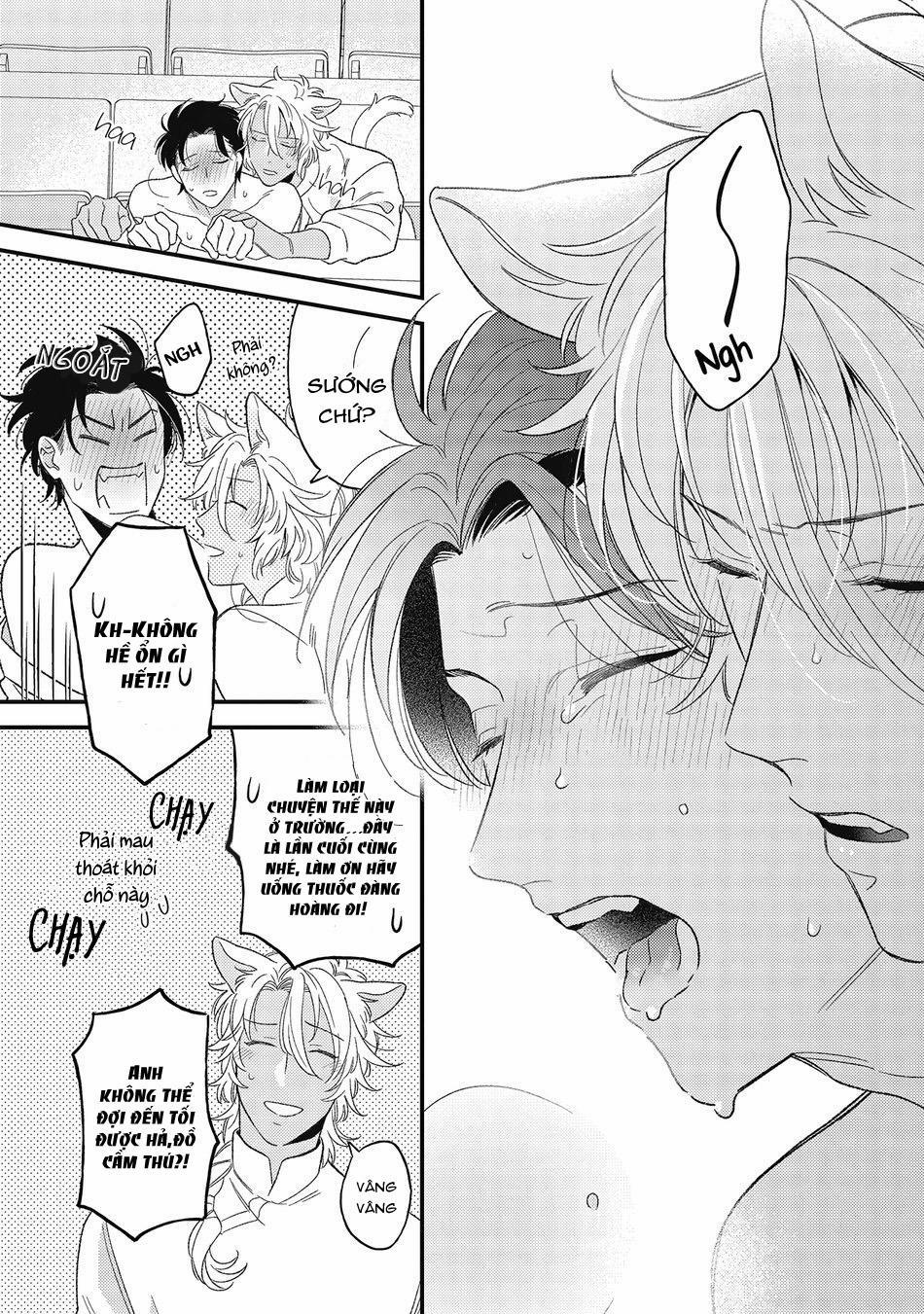 Cách yêu một nhân thú gắt gỏng 4 trang 31