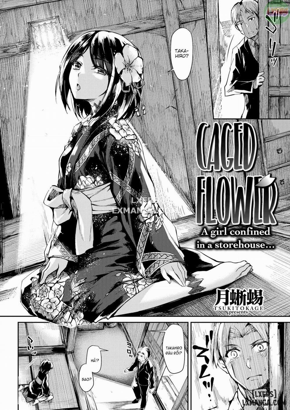 Caged Flower Oneshot trang 1