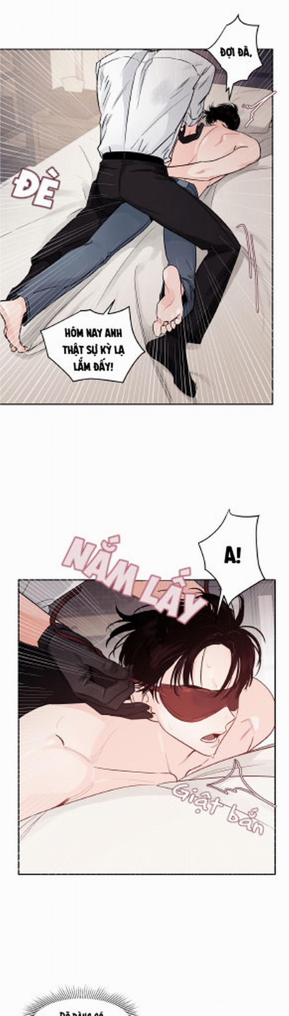 Cái Bóng Của Tôi 11 trang 0