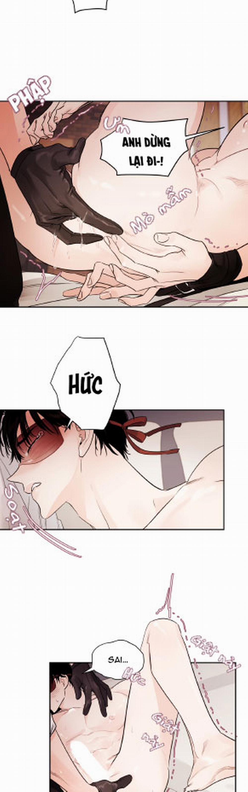 Cái Bóng Của Tôi 11 trang 13
