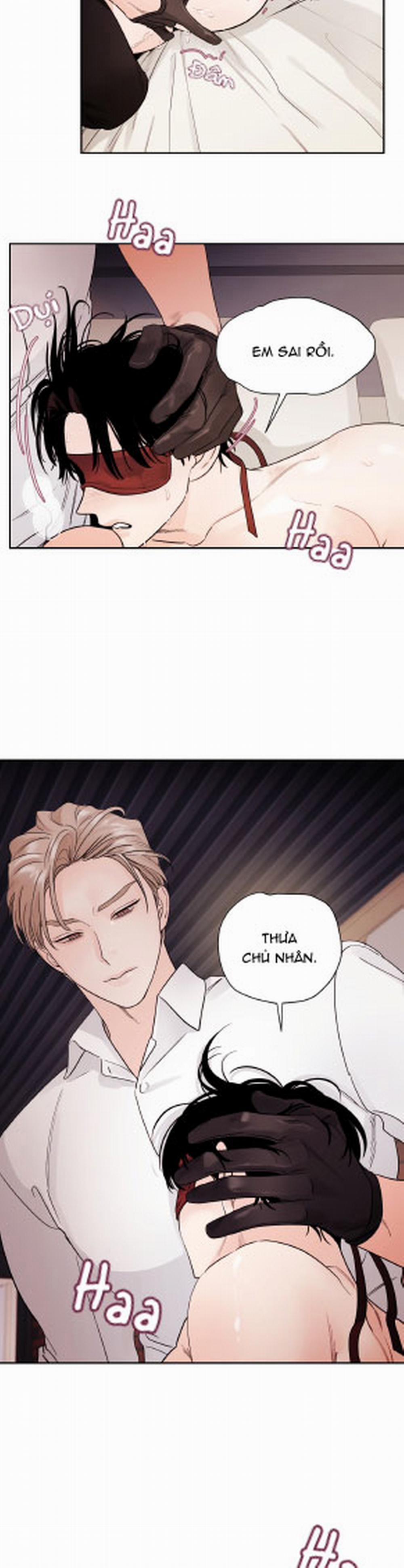 Cái Bóng Của Tôi 11 trang 14