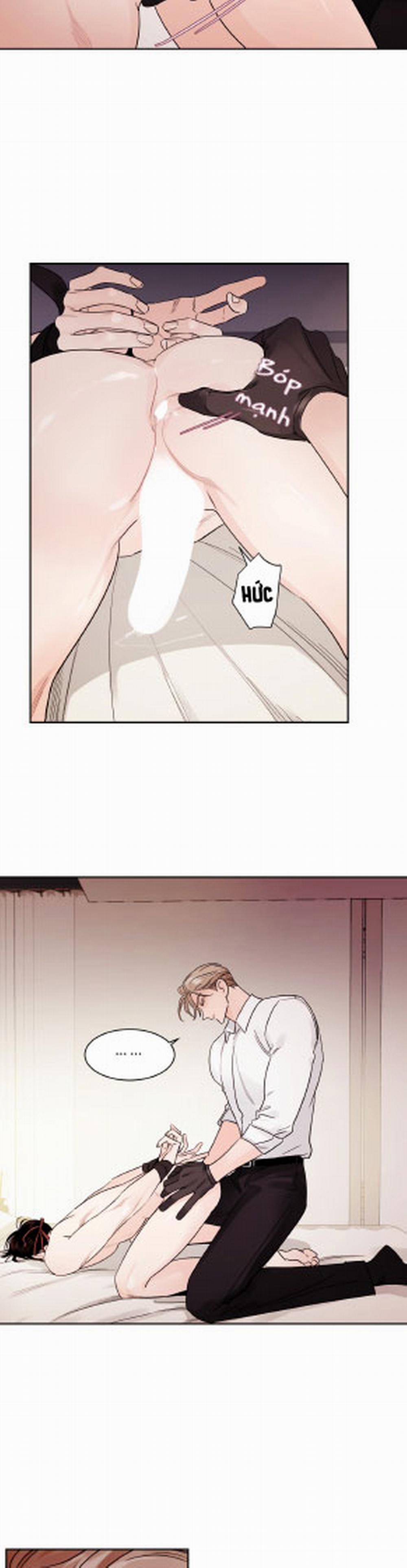 Cái Bóng Của Tôi 11 trang 16