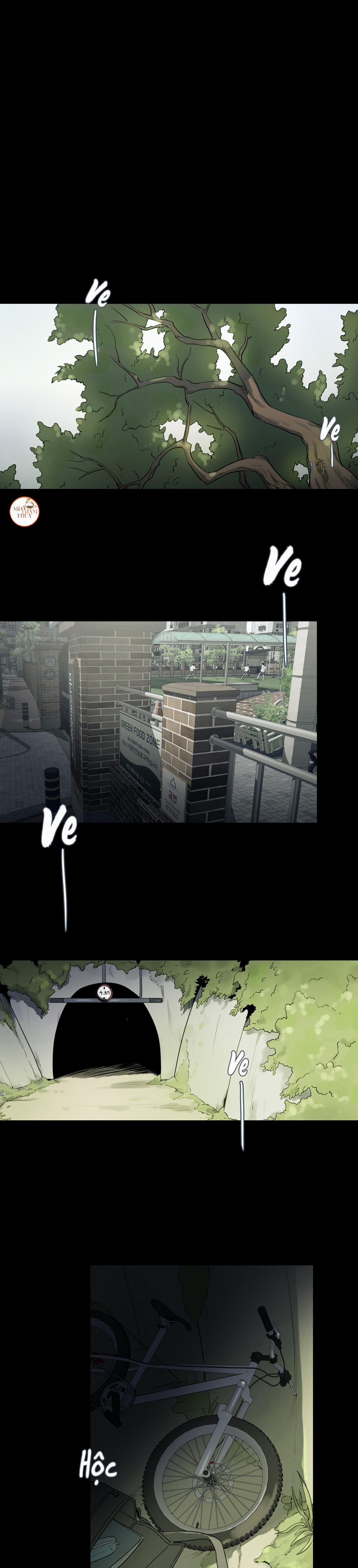 Cái Bóng Của Tôi 13 trang 0