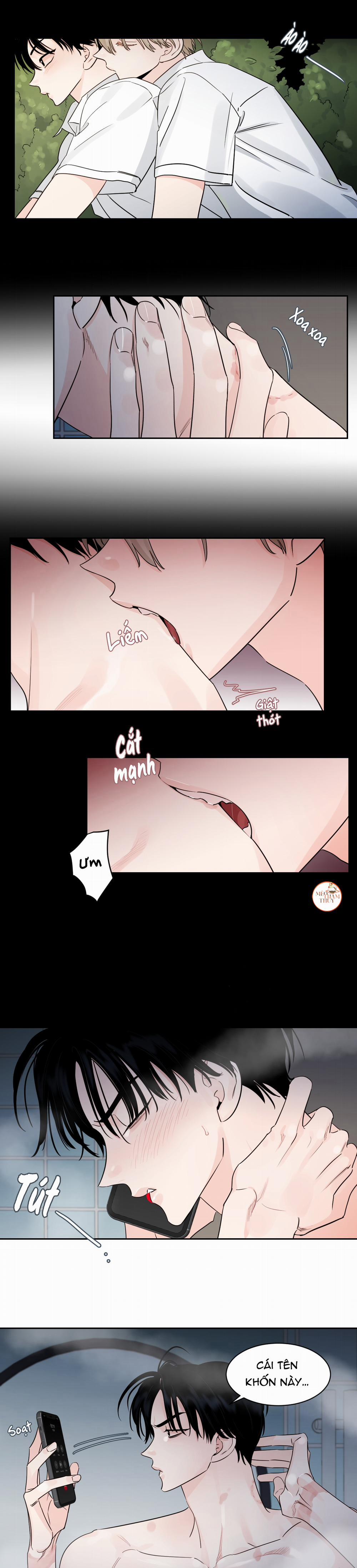 Cái Bóng Của Tôi 13 trang 11