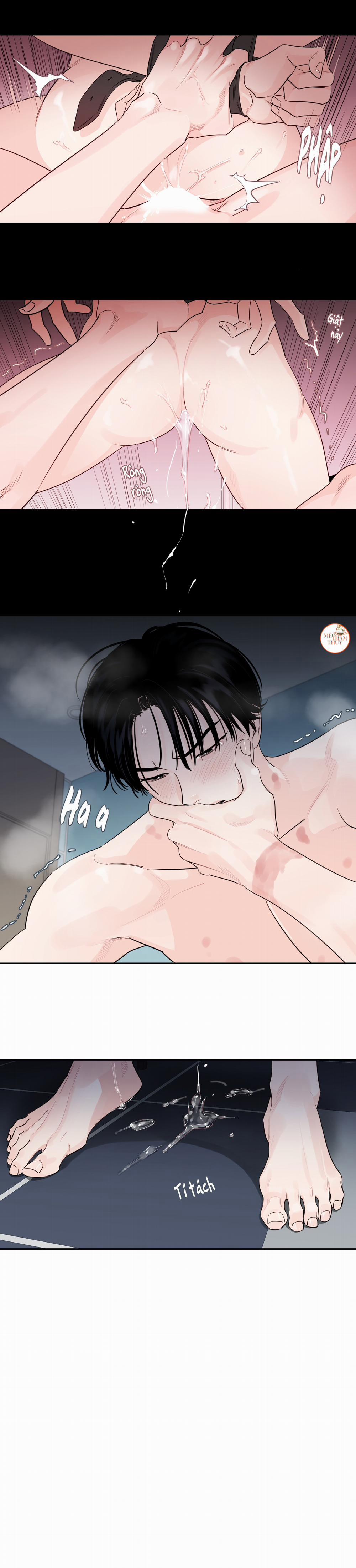 Cái Bóng Của Tôi 13 trang 13