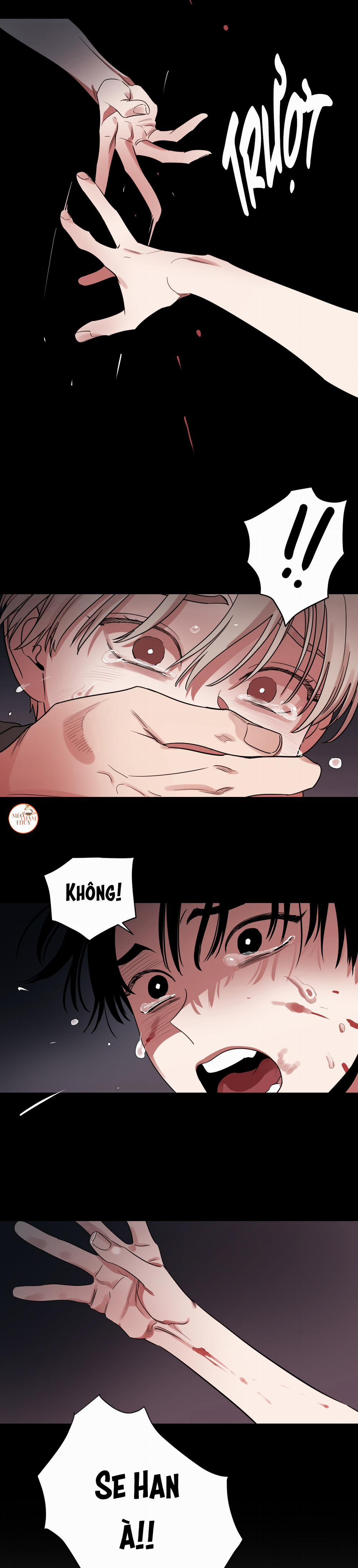 Cái Bóng Của Tôi 13 trang 2