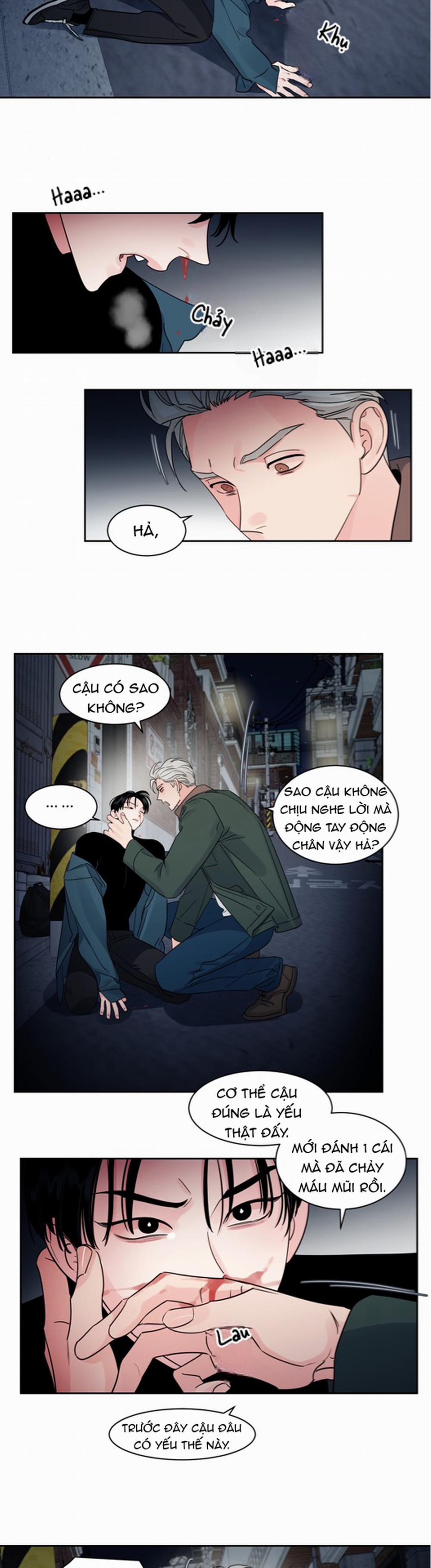 Cái Bóng Của Tôi 15 trang 10