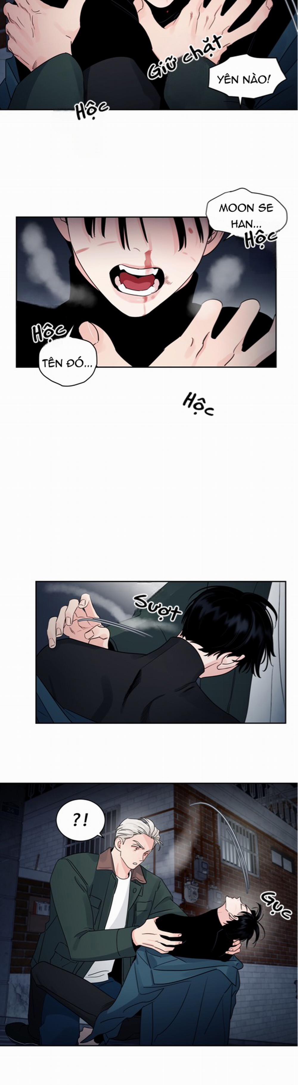 Cái Bóng Của Tôi 15 trang 12