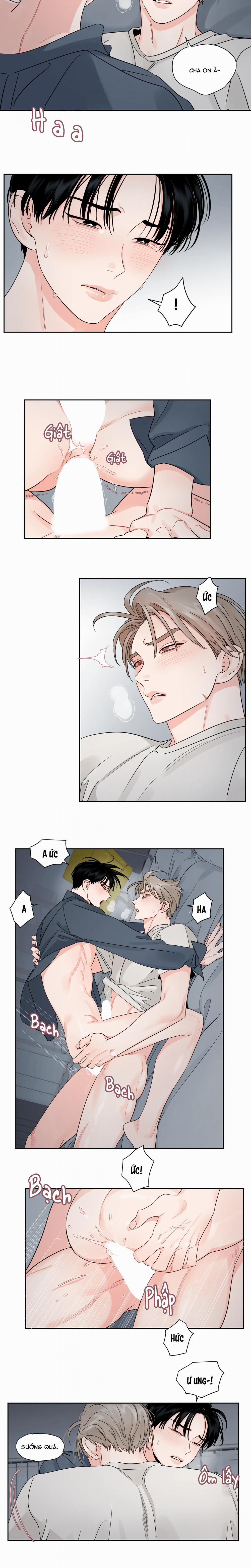 Cái Bóng Của Tôi 19 trang 6