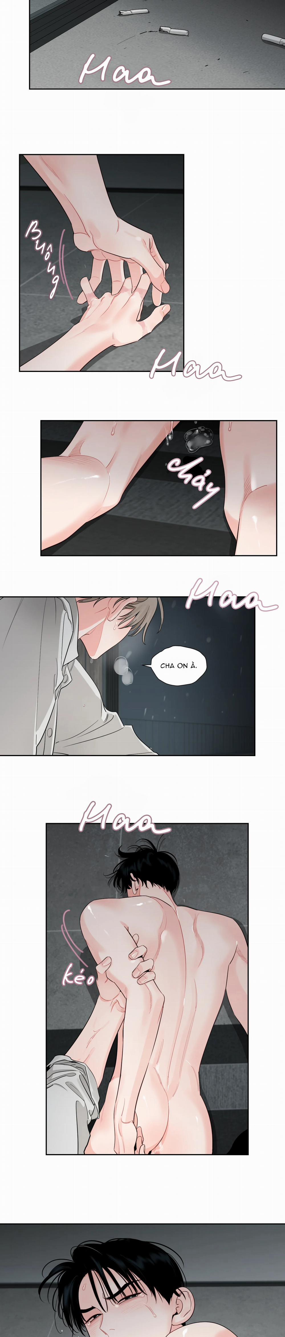 Cái Bóng Của Tôi 25 trang 8