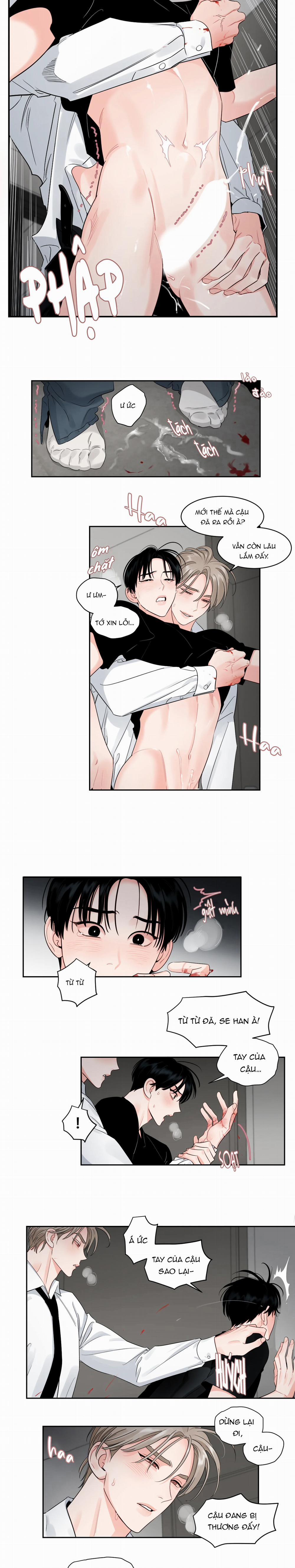 Cái Bóng Của Tôi 28 trang 14