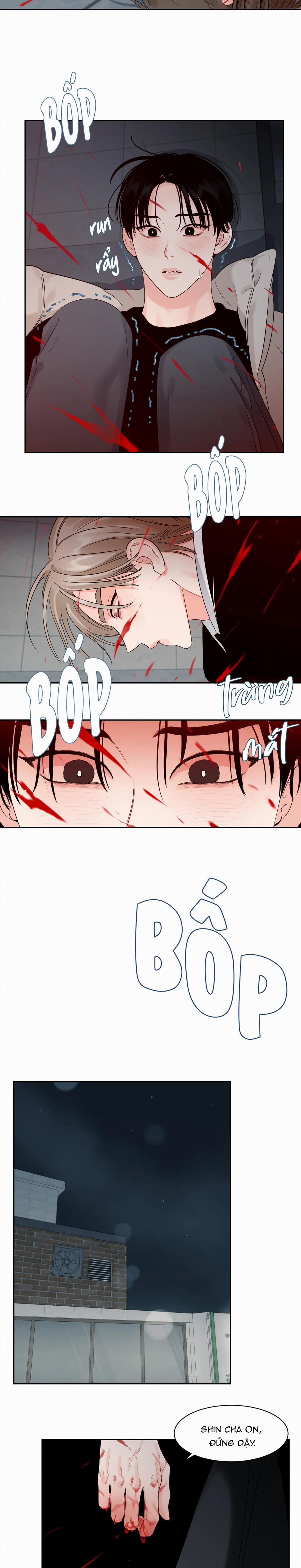 Cái Bóng Của Tôi 28 trang 6
