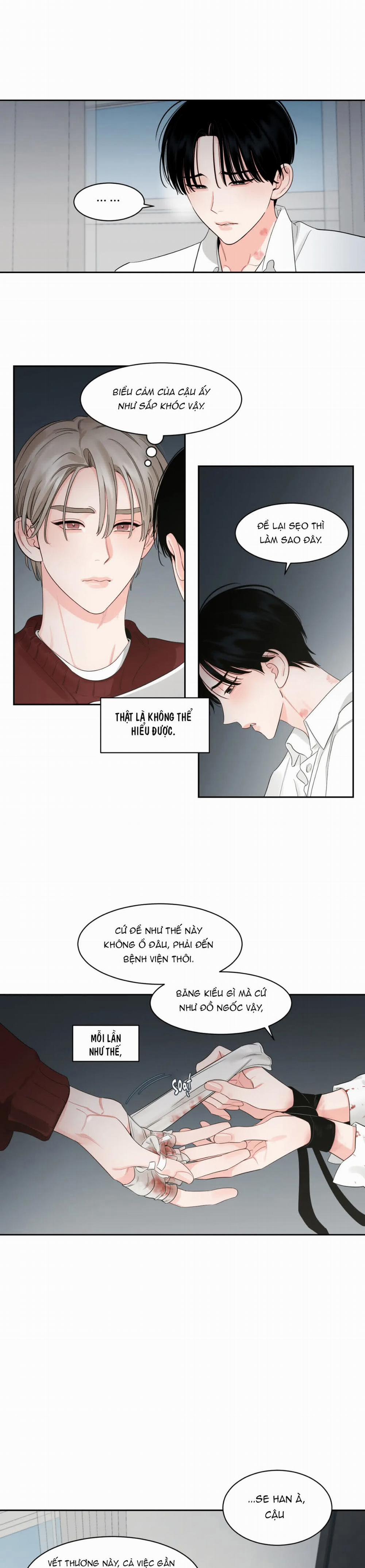 Cái Bóng Của Tôi 29 trang 11