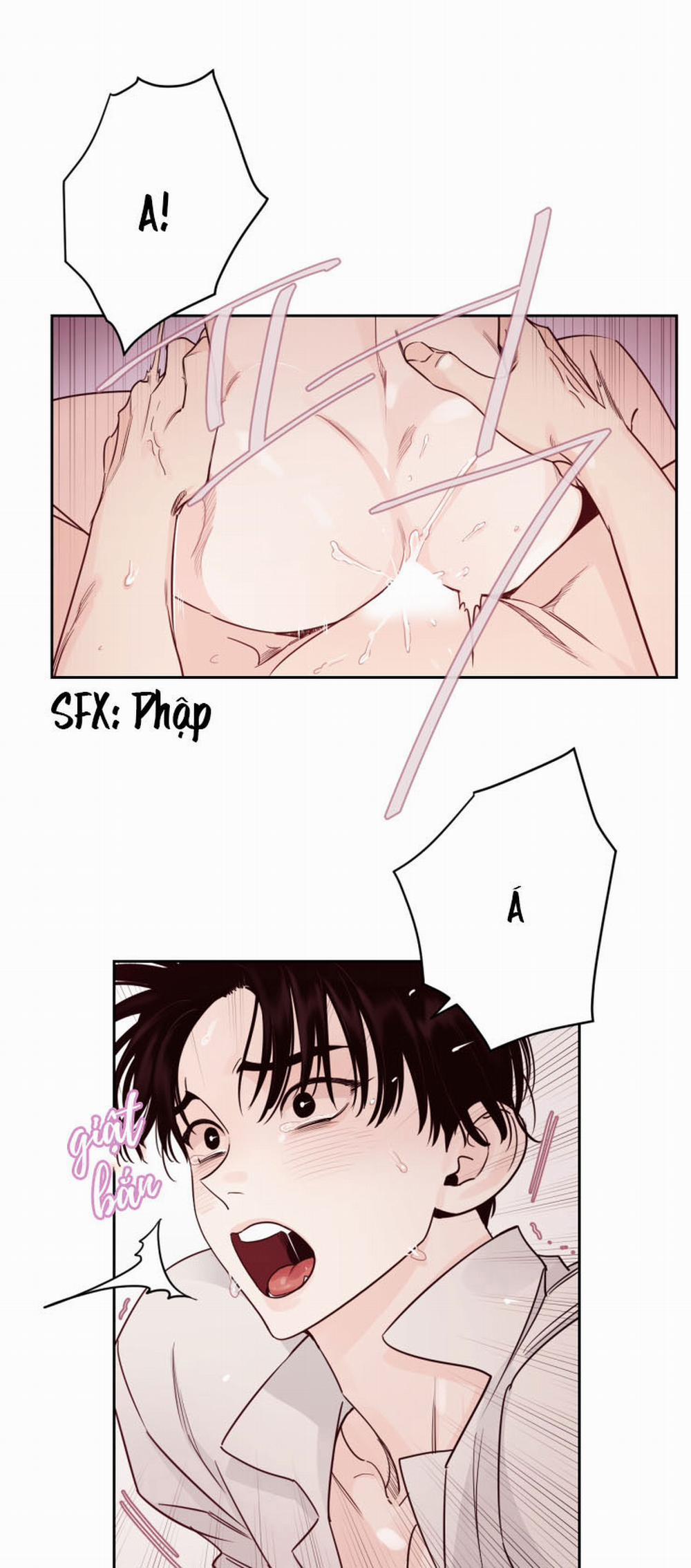 Cái Bóng Của Tôi 6 trang 20