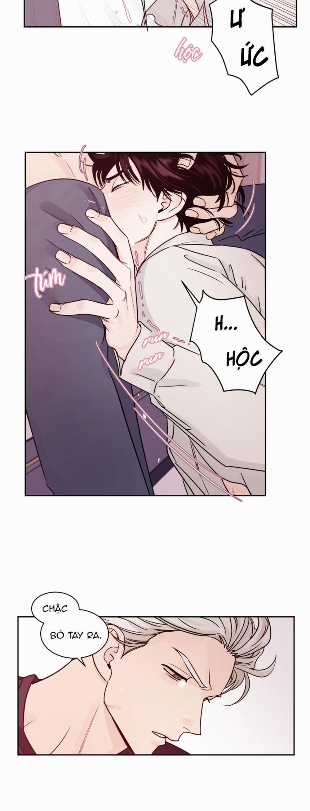 Cái Bóng Của Tôi 6 trang 7