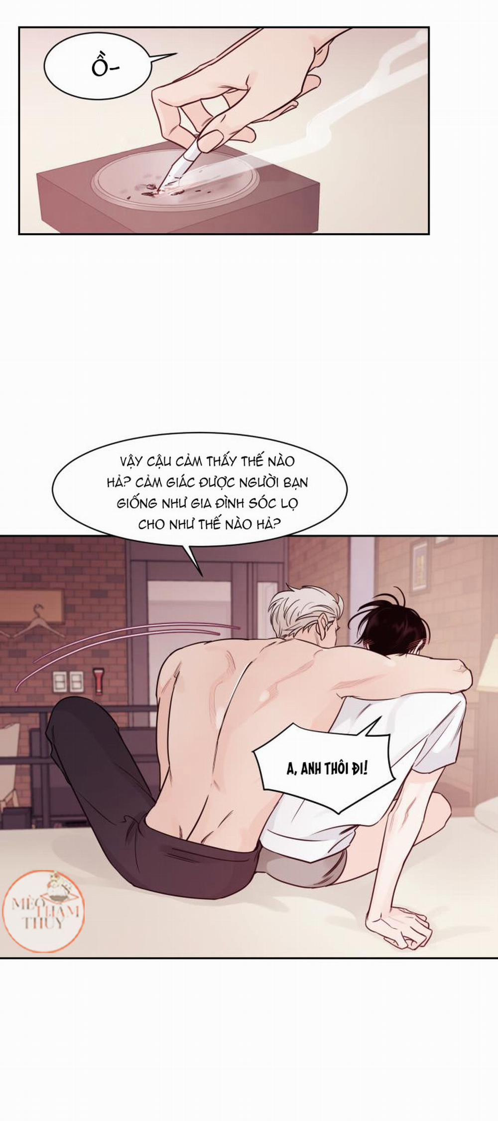 Cái Bóng Của Tôi 7 trang 15