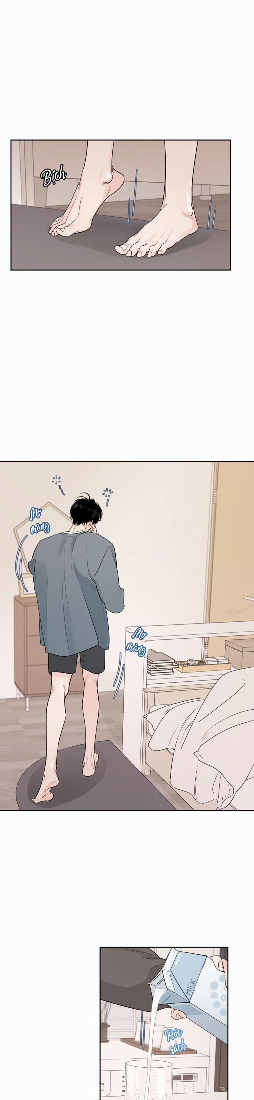 Cái Bóng Của Tôi 8 trang 1