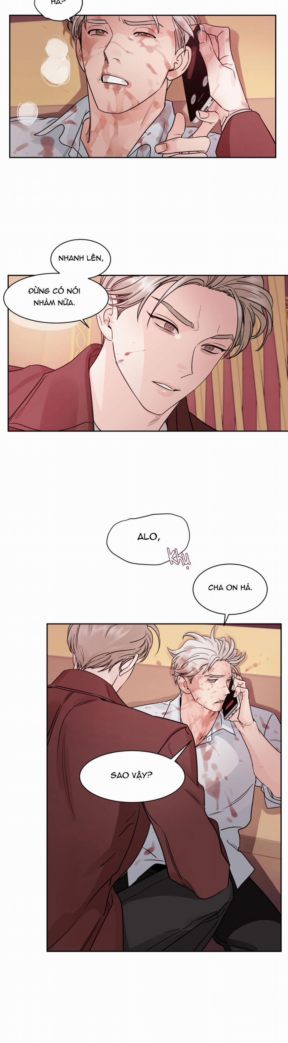 Cái Bóng Của Tôi 9 trang 17