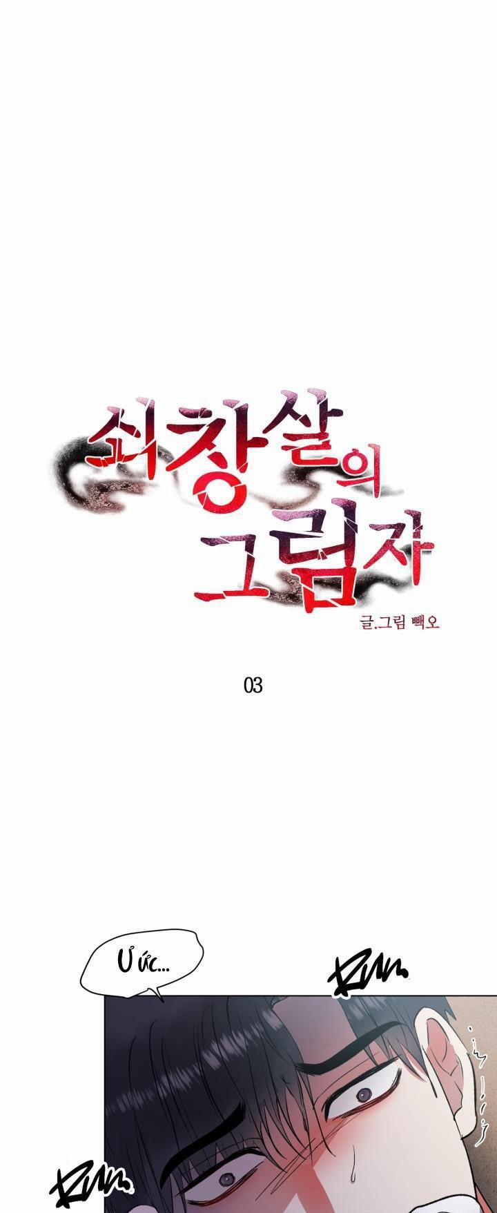 Cái Bóng Sau Song Cửa Sắt 3 trang 0