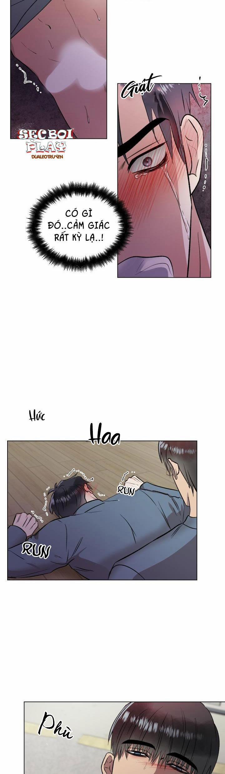 Cái Bóng Sau Song Cửa Sắt 4 trang 1