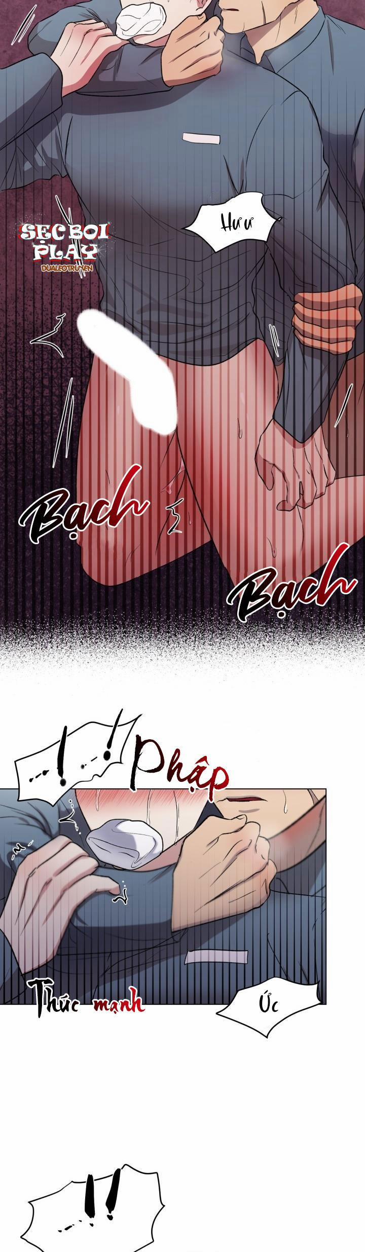 Cái Bóng Sau Song Cửa Sắt 4 trang 12