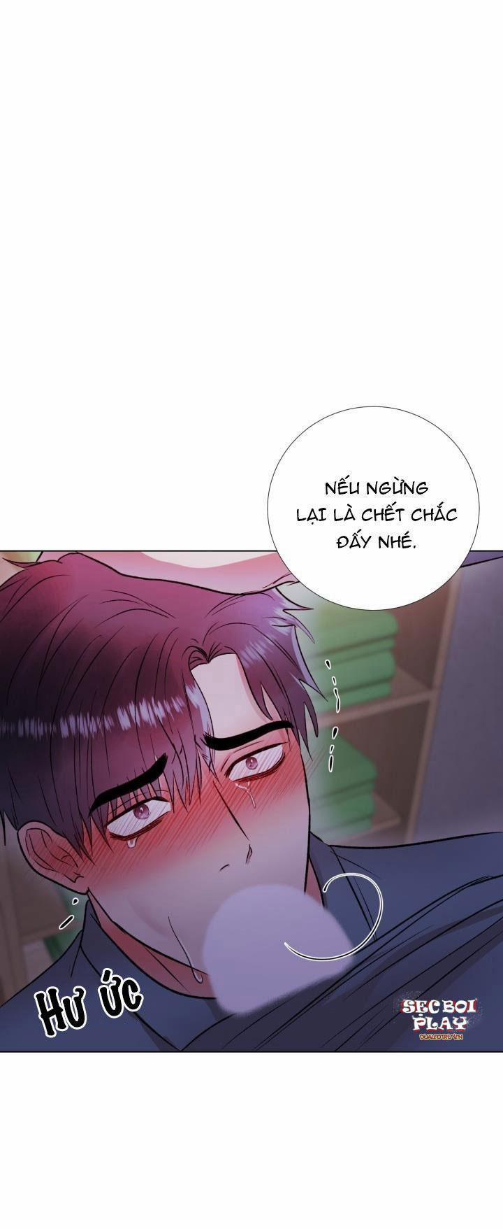 Cái Bóng Sau Song Cửa Sắt 8 trang 0