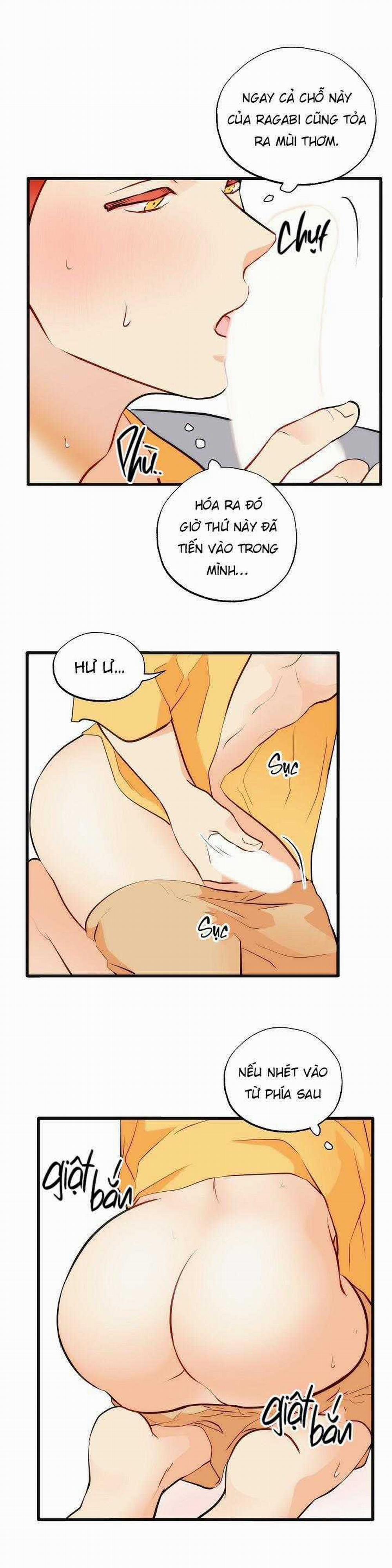 Cai Thuốc 60 trang 2