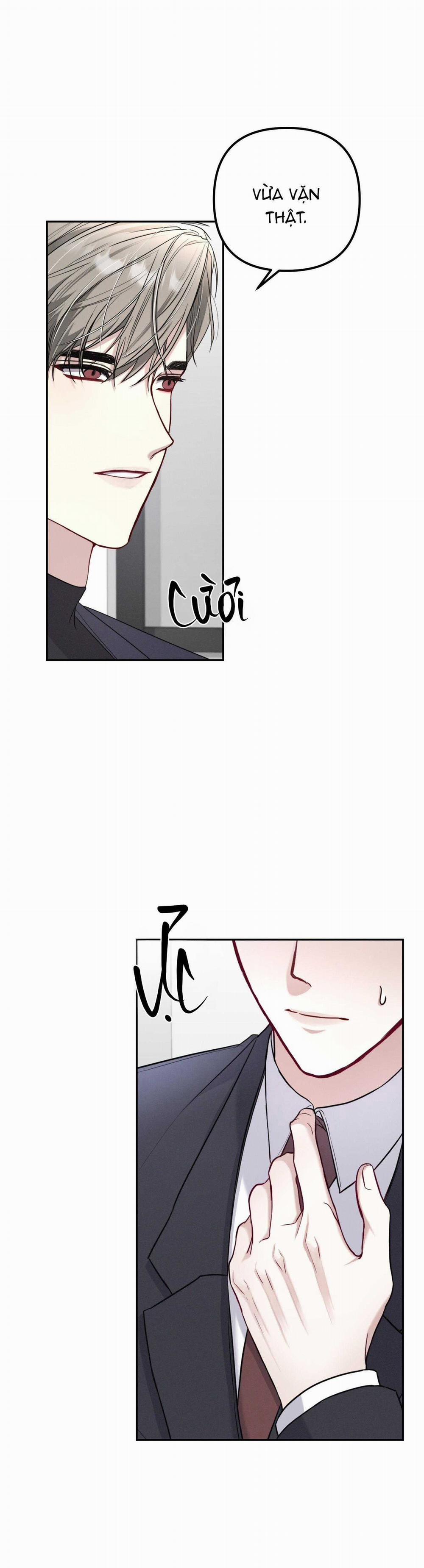 Cam Kết Thứ Hai 8 trang 13