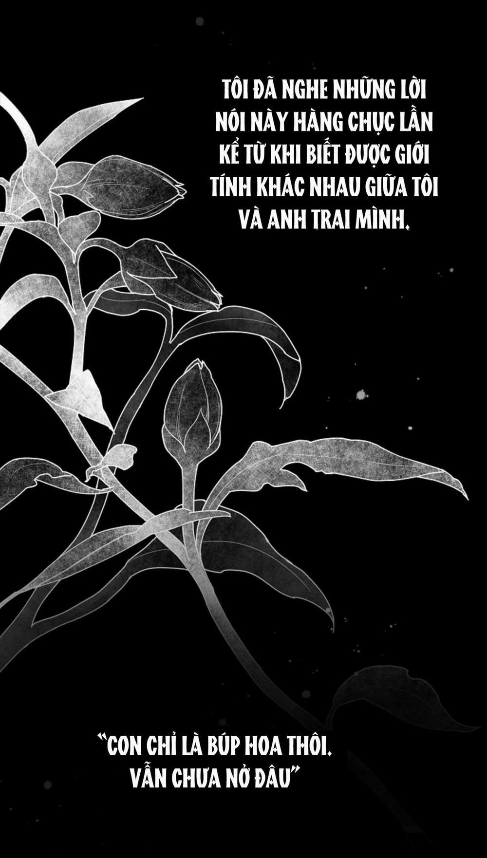 Cảm Nhận Từ Những Gì Tôi Biết 1.2 trang 9