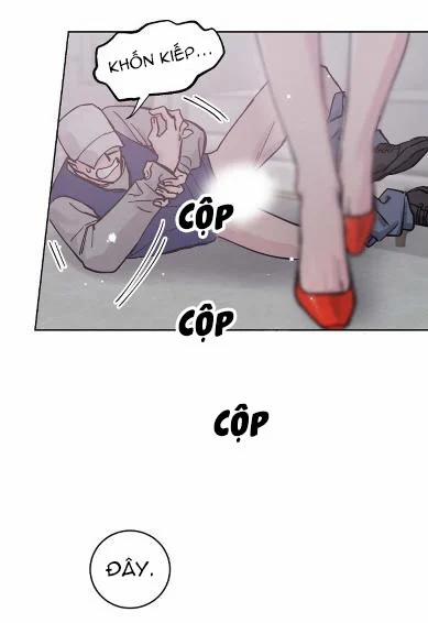 Cảm Nhận Từ Những Gì Tôi Biết 2.1 trang 11