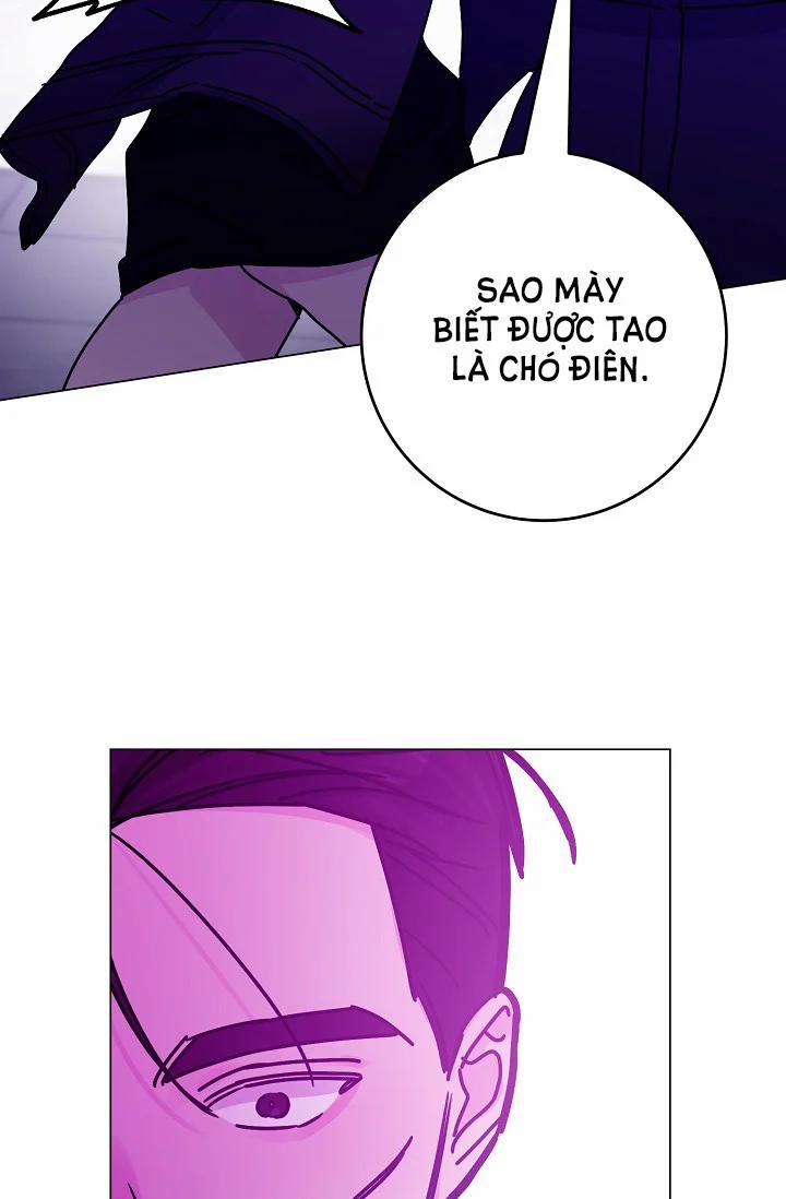 Cảm Nhận Từ Những Gì Tôi Biết 47.5 trang 14