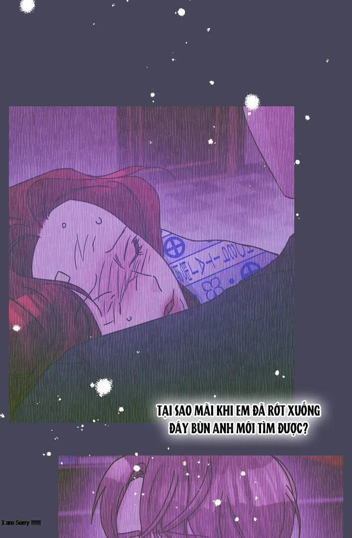 Cảm Nhận Từ Những Gì Tôi Biết 48.5 trang 15