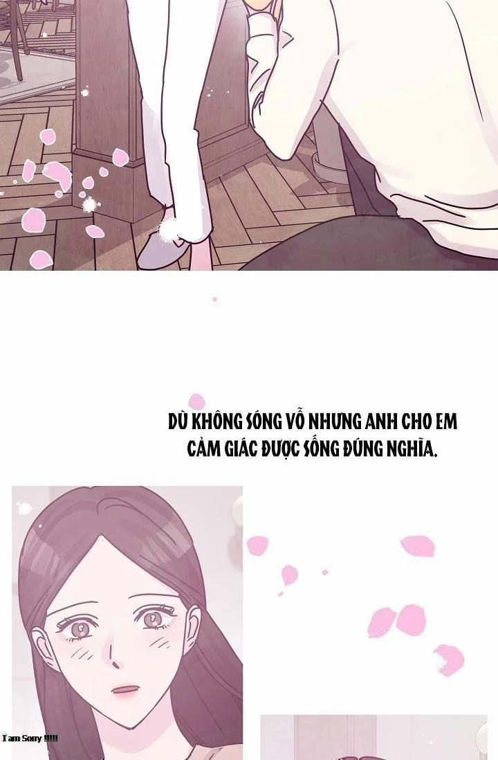Cảm Nhận Từ Những Gì Tôi Biết 48.5 trang 22