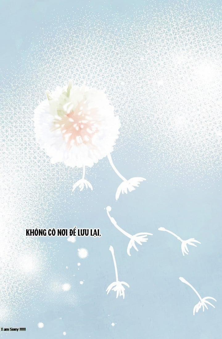 Cảm Nhận Từ Những Gì Tôi Biết 48.5 trang 25