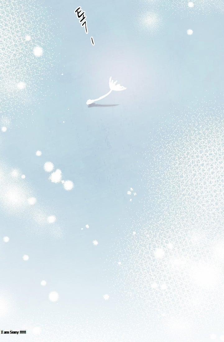 Cảm Nhận Từ Những Gì Tôi Biết 48.5 trang 27