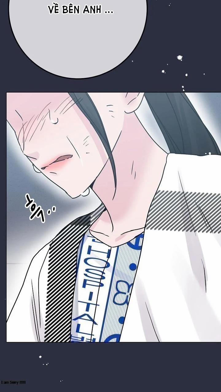 Cảm Nhận Từ Những Gì Tôi Biết 49.5 trang 1