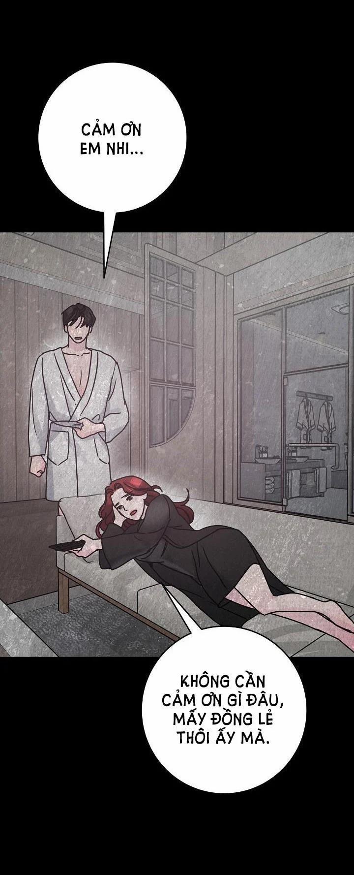 Cảm Nhận Từ Những Gì Tôi Biết 49.5 trang 11