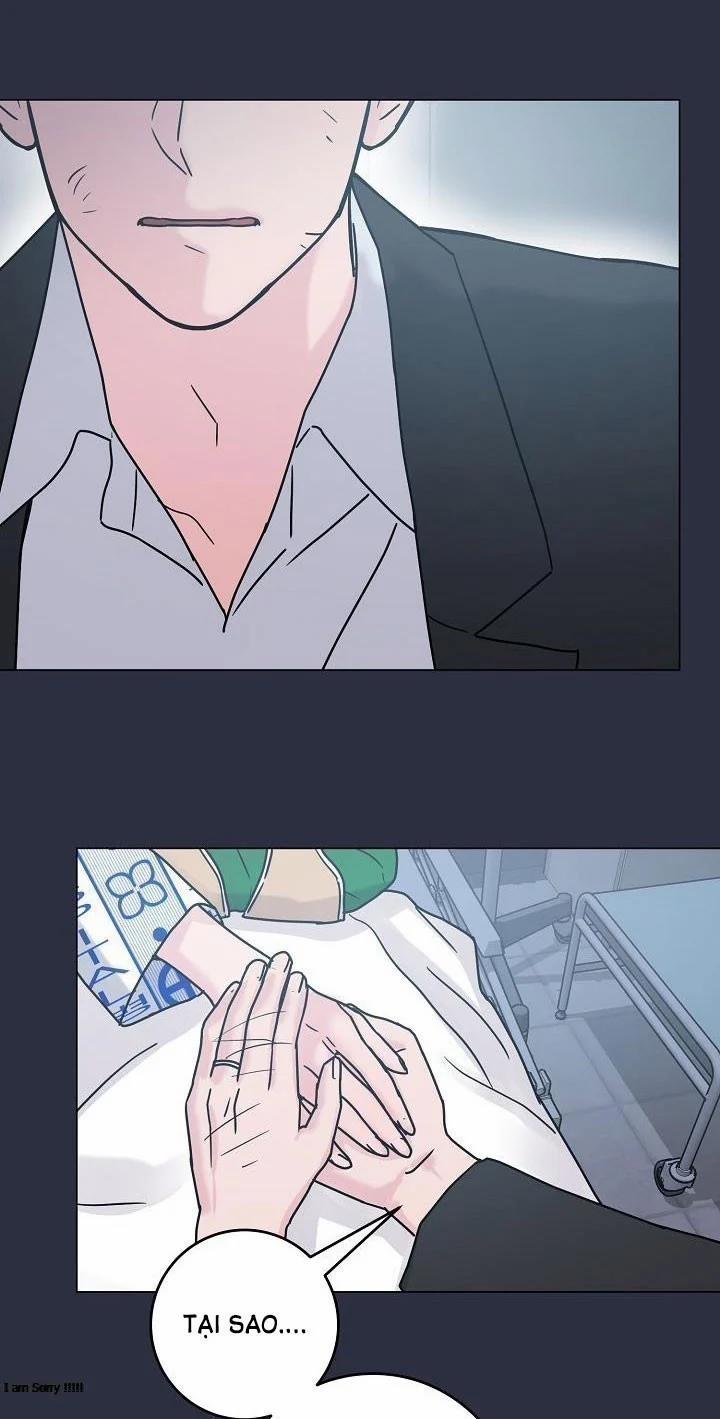 Cảm Nhận Từ Những Gì Tôi Biết 49 trang 4