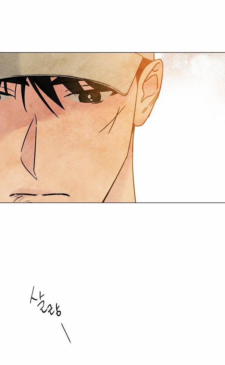 Cảm Nhận Từ Những Gì Tôi Biết 53.5 trang 14