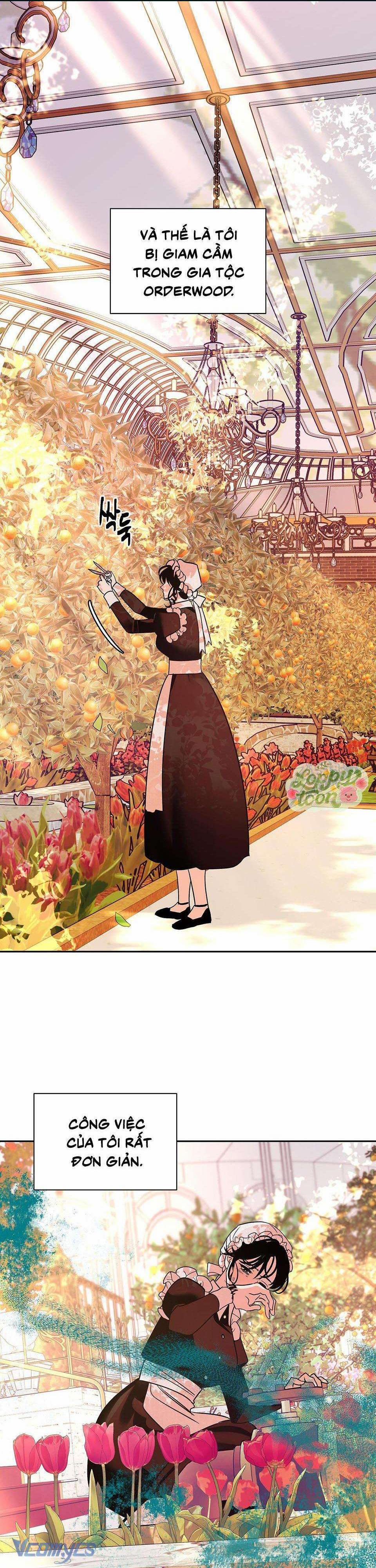 Cam Sát Thương 7 trang 0