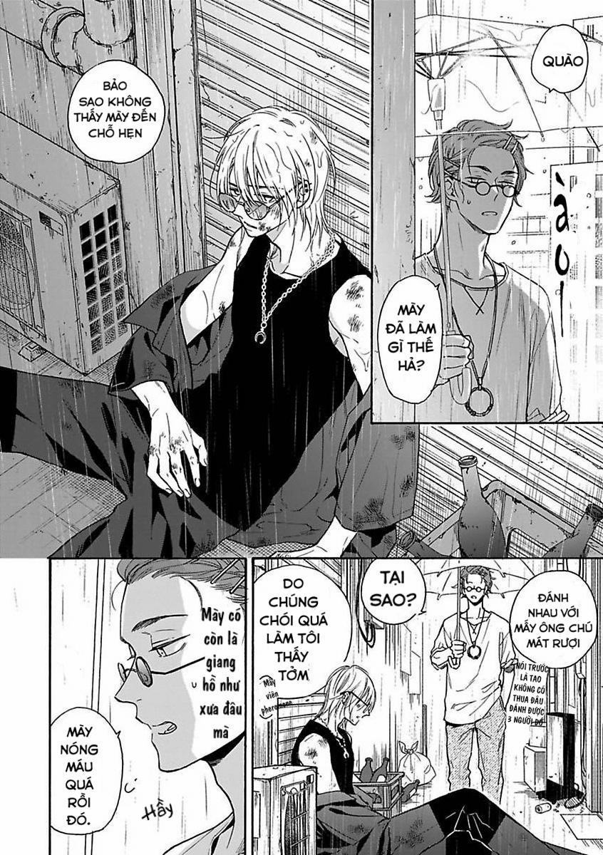 Cắn Nát Viên Ruby Đỏ 3 trang 23