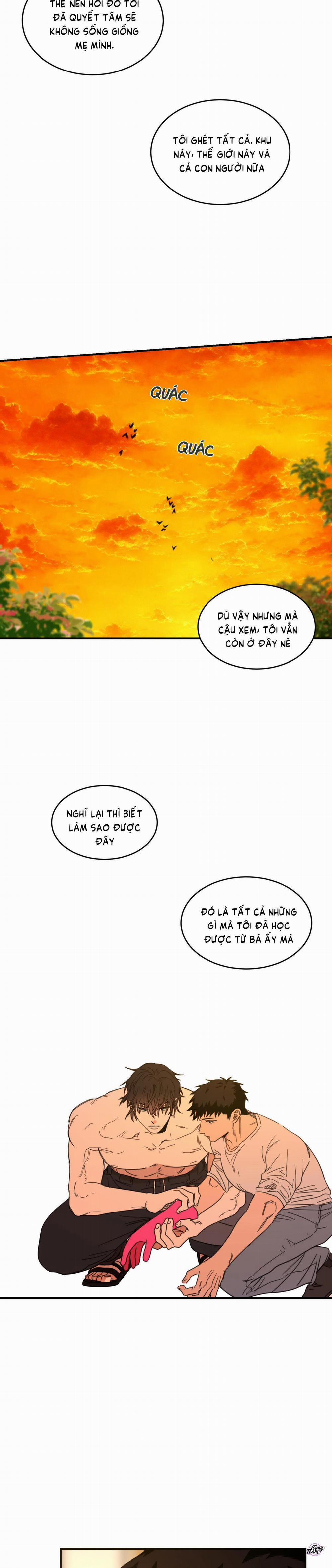 Căn Nhà Mặt Trời Mọc 12 trang 13