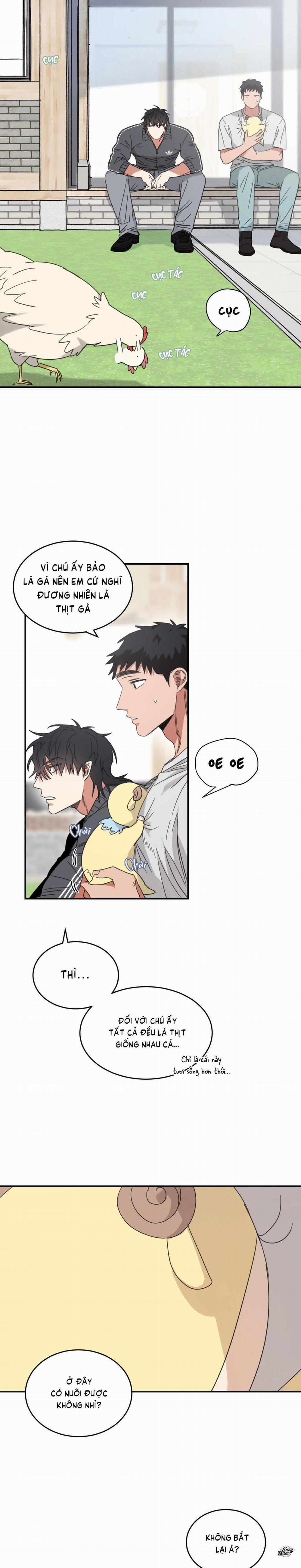 Căn Nhà Mặt Trời Mọc 19 trang 1