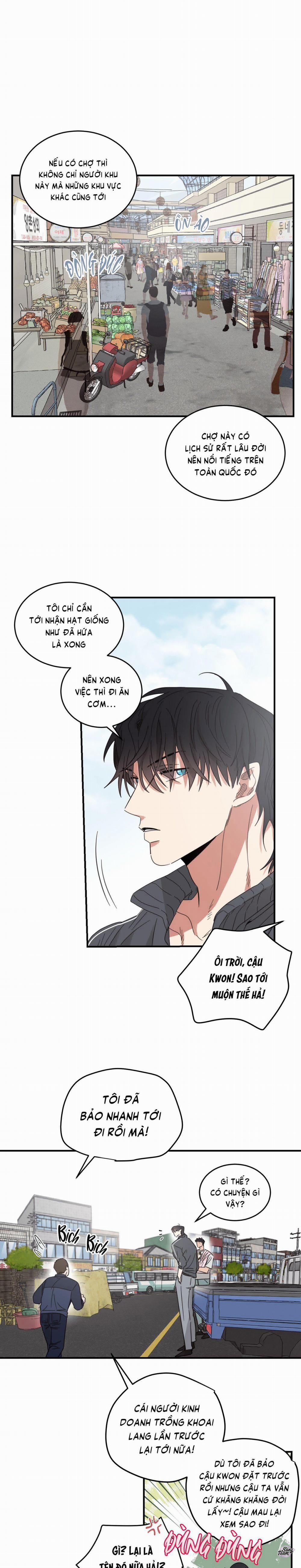 Căn Nhà Mặt Trời Mọc 19 trang 11